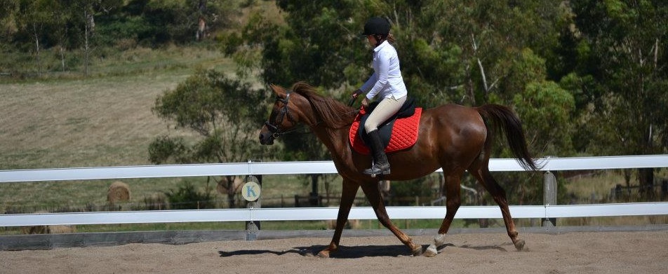 Choosing the right horseback riding bra