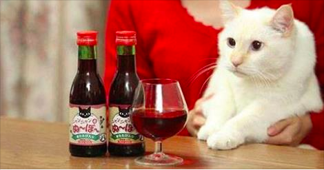 Wine for Cats