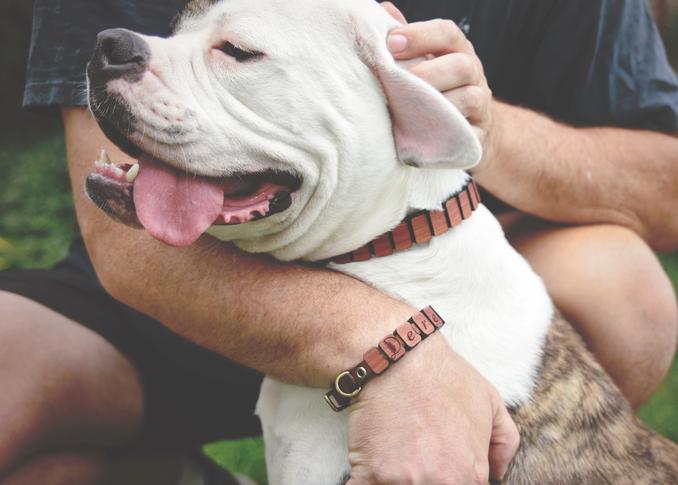 Cedar Wood Flea Collar