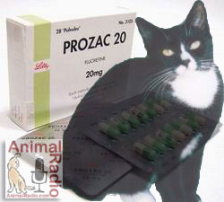 Kitty Prozac